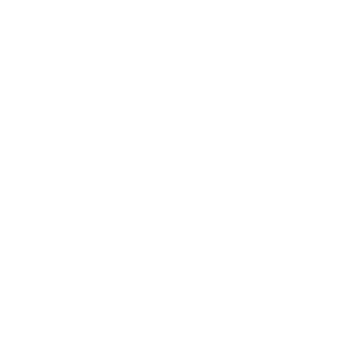 Shield Icon