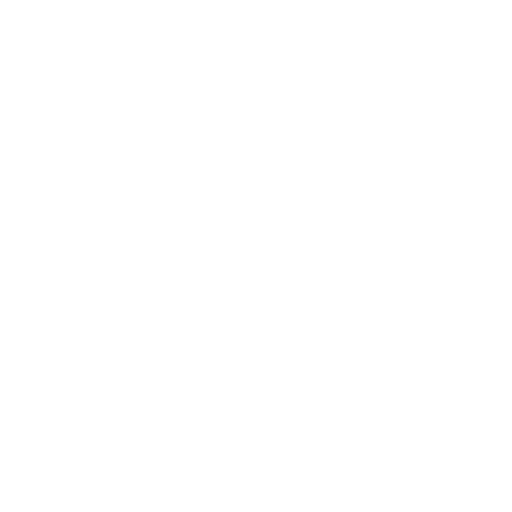 Shield Icon