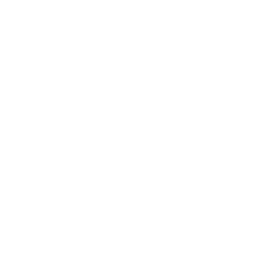 Shield Icon