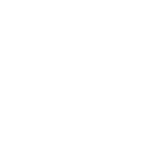 Shield Icon